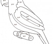 Coloriage Perroquet et Équations en couleur