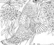 Coloriage Difficile Animaux Anti-Stress