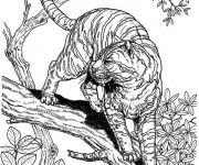 Coloriage Difficile Animaux pour adulte