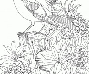 Coloriage Difficile Oiseau stylisé