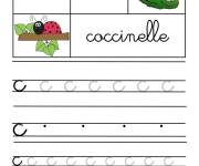 Coloriage La lettre C pour Coccinelle &eacute;criture cursive