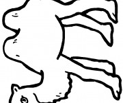 Coloriage Chameau en Egypte