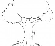 Coloriage et dessins gratuit Arbre facile à imprimer