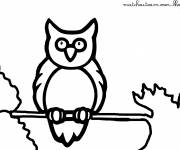 Coloriage et dessins gratuit Hibou sur la corde à imprimer