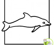 Coloriage Un Dauphin simple au crayon