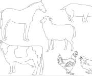 Coloriage Animaux de la ferme simple