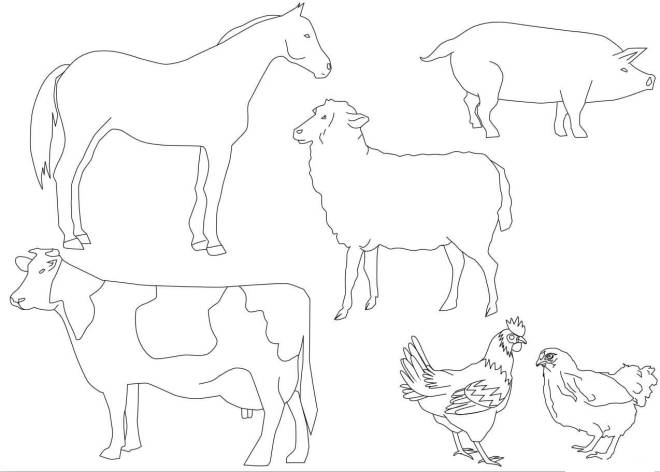 Coloriage et dessins gratuits Animaux de la ferme simple à imprimer