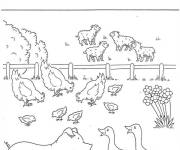 Coloriage et dessins gratuit Fiche pédagogique sur les animaux de la ferme à imprimer