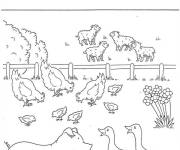 Coloriage Fiche pédagogique sur les animaux de la ferme