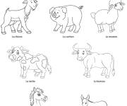 Coloriage et dessins gratuit Image animaux de la ferme à imprimer