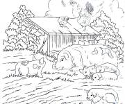 Coloriage et dessins gratuit La petits du cochon se reposent dans la ferme à imprimer