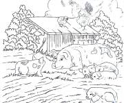 Coloriage La petits du cochon se reposent dans la ferme