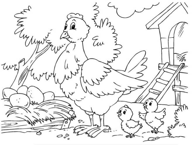 Coloriage et dessins gratuits La poule a pondu cinq œufs à imprimer