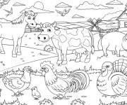 Coloriage Les animaux dans le pr&eacute;