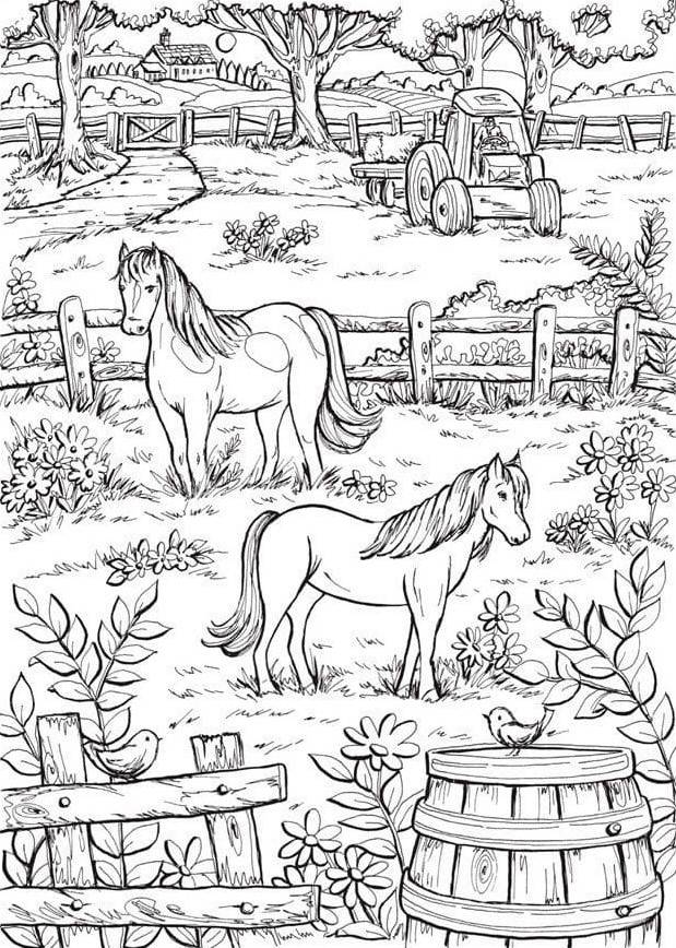Coloriage et dessins gratuits Les chevaux à la ferme à imprimer