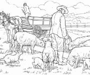Coloriage Les moutons et berger