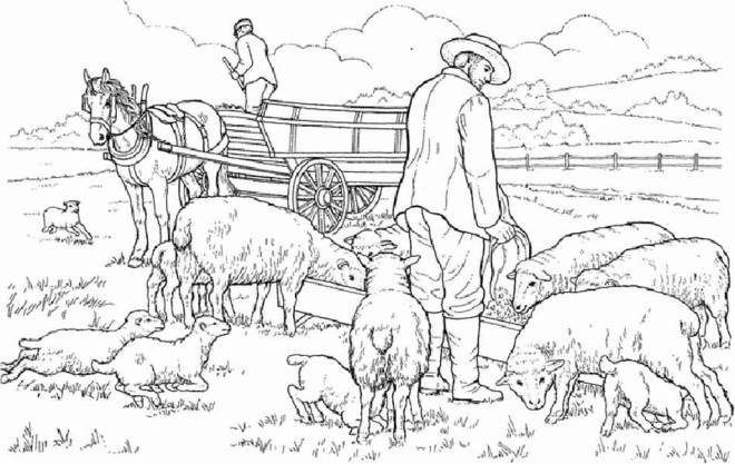 Coloriage et dessins gratuits Les moutons et berger à imprimer