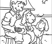 Coloriage Tonte de moutons &agrave; la ferme