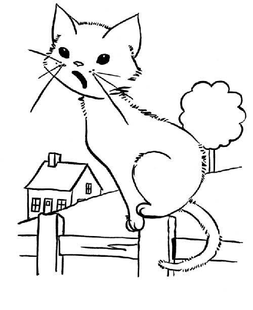 Coloriage et dessins gratuits Un chat dans la ferme à imprimer