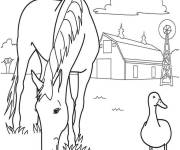 Coloriage Une oie avec le cheval dans les champs