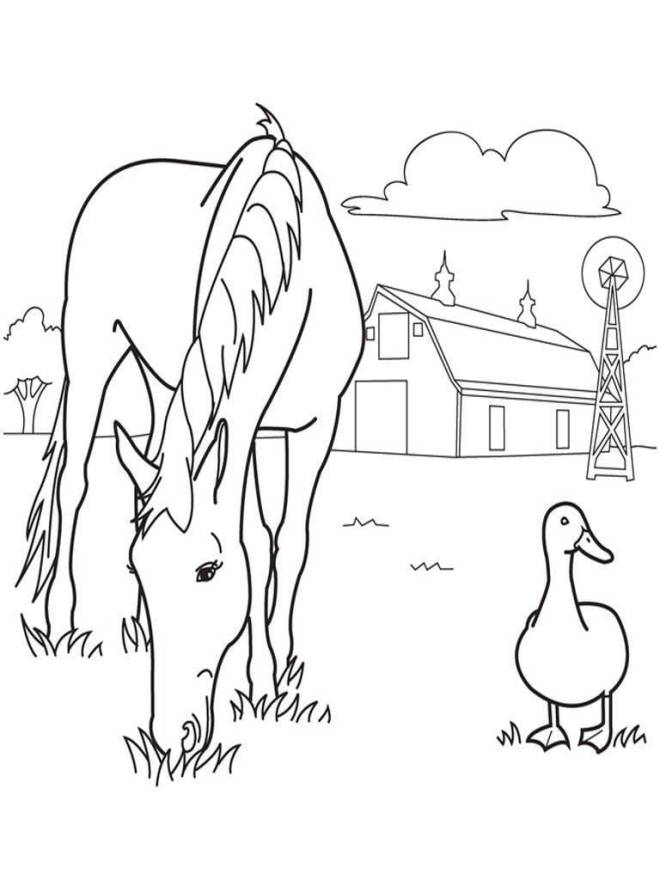 Coloriage et dessins gratuits Une oie avec le cheval dans les champs à imprimer