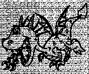 Coloriage Dragon de Feu humoristique