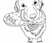 Coloriage Chien aime pantoufle