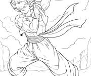 Coloriage Coup de victoire de Gogeta en combat