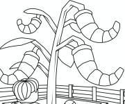 Coloriage Feuille de Grow a Garden