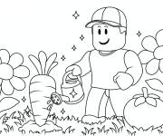 Coloriage Grow a Garden Roblox