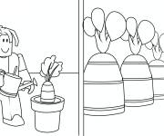 Coloriage Sc&egrave;ne de r&eacute;colte du jeu Grow a Garden