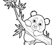 Coloriage Animal Panda mignon Gulli