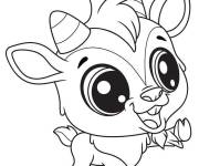 Coloriage Quincy de bande anim&eacute; littlest Pet Shop