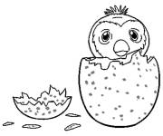 Coloriage Petit pingouin Hatchimals