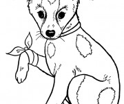 Coloriage Un Chien bless&eacute;