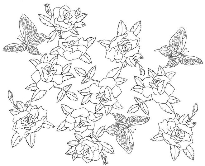 Coloriage Inspiration Zen Fleurs Et Papillon Dessin Gratuit