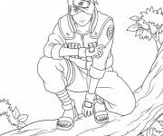 Coloriage Kakashi sur l'arbre