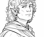 Coloriage Portrait de Frodon r&eacute;aliste