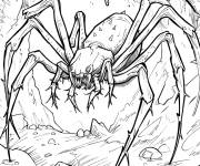 Coloriage Shelob l'araign&eacute;e du Seigneur des Anneaux