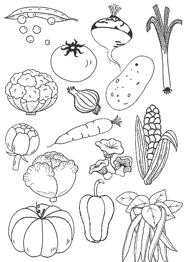 Coloriage Légumes En Couleur Dessin Gratuit à Imprimer