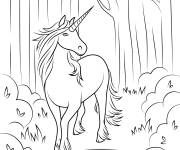 Coloriage Belle Licorne dans la foret