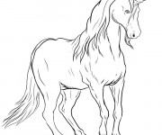 Coloriage Illustration Licorne