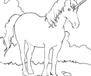 Coloriage Licorne dans La Nature