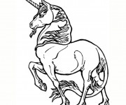 Coloriage et dessins gratuit Licorne en ligne à imprimer