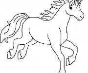 Coloriage Licorne en noir et blanc