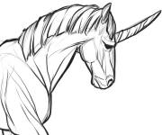 Coloriage Licorne r&eacute;aliste au crayon