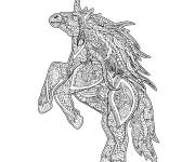 Coloriage Mandala Licorne adulte