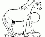 Coloriage Petite Licorne dr&ocirc;le