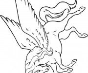 Coloriage Th&egrave;me Licorne