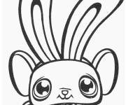 Coloriage et dessins gratuit Animal de Petshop avec grandes oreilles à imprimer